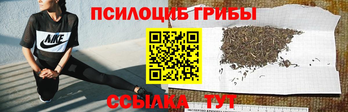 Псилоцибиновые грибы Psilocybe Зеленодольск